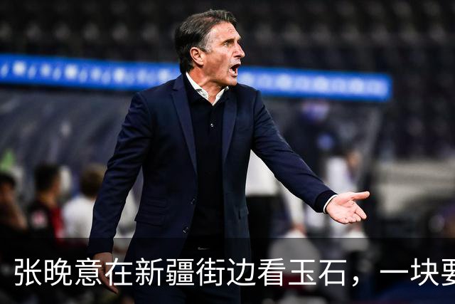 张晚意在新疆街边看玉石，一块要50万元，李沁：不怕被人顺走吗？