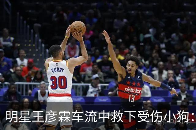 明星王彦霖车流中救下受伤小狗：医生说它生完就被扔了，王彦霖决定收养它，取名Lucky。
