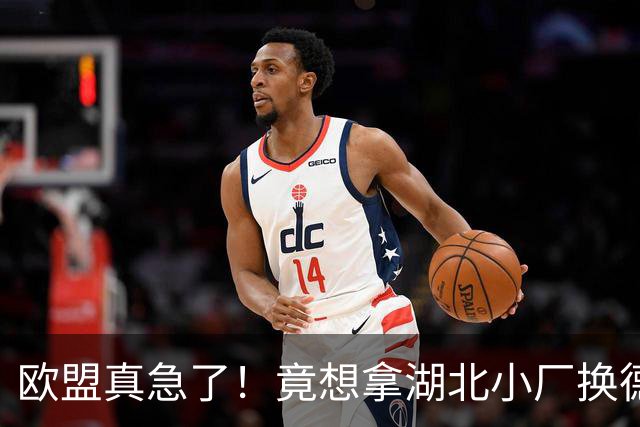欧盟真急了！竟想拿湖北小厂换德国12人作坊，阿斯麦供应链要断了