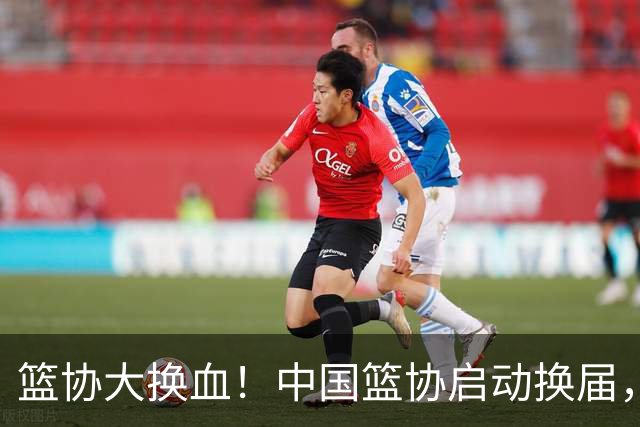 篮协大换血！中国篮协启动换届，郭振明离任？四大候选谁能上位？