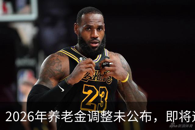 2026年养老金调整未公布，即将迎来人社部第三季度会议，会提及吗